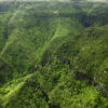 EXCURSION IN THE SOUTH - Image 3